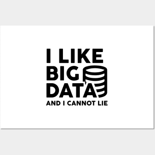 I Like Big Data and I Cannot Lie Posters and Art